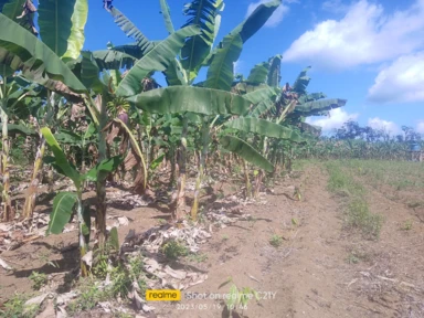 Linda Fazenda na Bahia