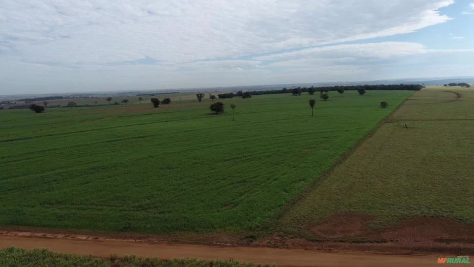 Fazenda com 1.200 alqueires para agricultura, área plana, fácil acesso