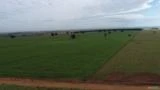 Fazenda com 1.200 alqueires para agricultura, área plana, fácil acesso