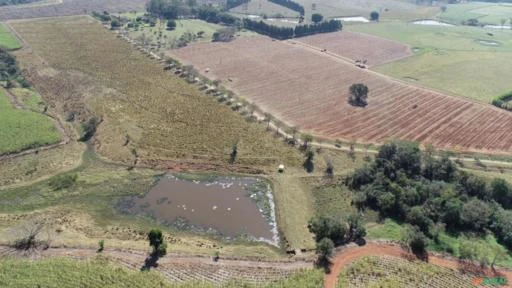 Fazenda Para agricultura com 80 alqueires