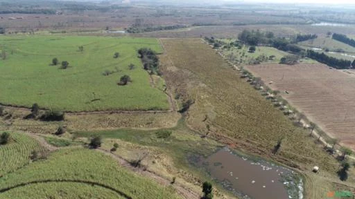 Fazenda Para agricultura com 80 alqueires