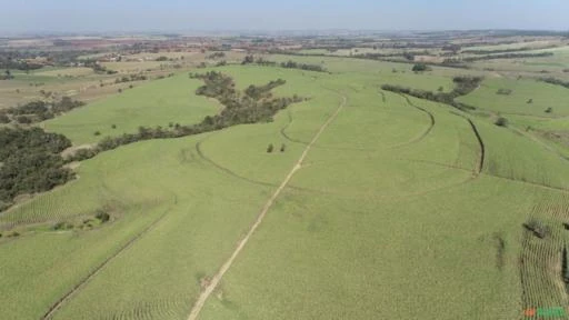 Fazenda Para agricultura com 80 alqueires