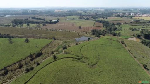 Fazenda Para agricultura com 80 alqueires