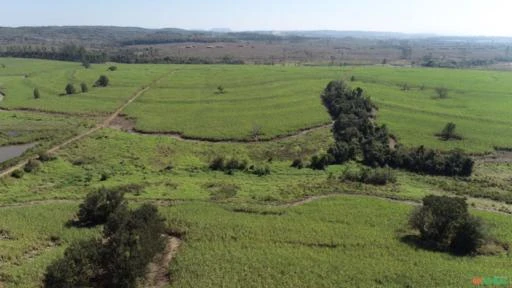 Fazenda Para agricultura com 80 alqueires