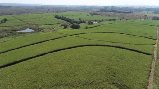 Fazenda Para agricultura com 80 alqueires