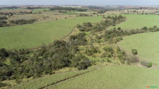 Fazenda Para agricultura com 80 alqueires