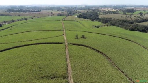 Fazenda Para agricultura com 80 alqueires