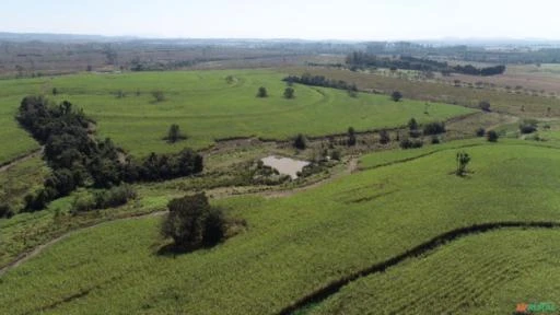 Fazenda Para agricultura com 80 alqueires