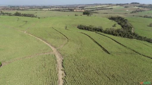 Fazenda Para agricultura com 80 alqueires