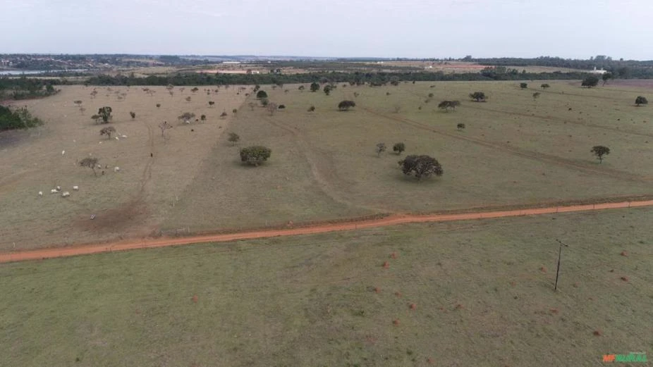 Fazenda com 115 alqueires para agricultura, pecuária, cana.