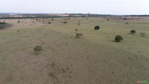 Fazenda com 115 alqueires para agricultura, pecuária, cana.