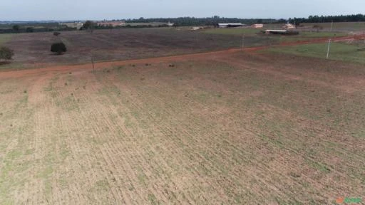 Fazenda com 115 alqueires para agricultura, pecuária, cana.