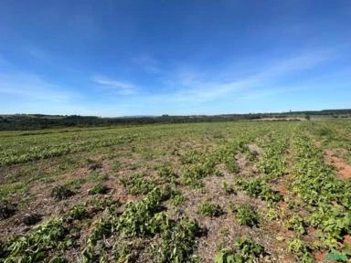 Fazenda com 90 hectares para Agricultura, região de Sorocaba