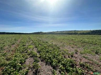 Fazenda com 90 hectares para Agricultura, região de Sorocaba