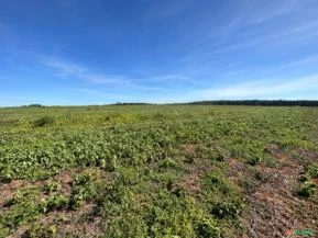 Fazenda com 90 hectares para Agricultura, região de Sorocaba