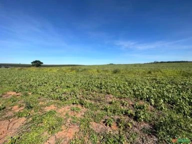 Fazenda com 90 hectares para Agricultura, região de Sorocaba