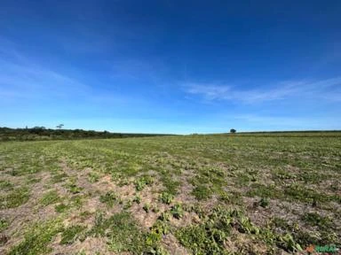 Fazenda com 90 hectares para Agricultura, região de Sorocaba