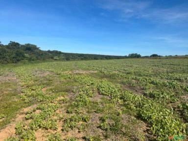 Fazenda com 90 hectares para Agricultura, região de Sorocaba