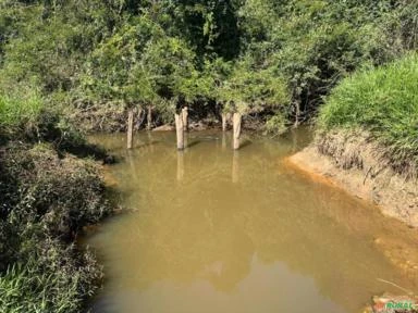 Fazenda com 90 hectares para Agricultura, região de Sorocaba