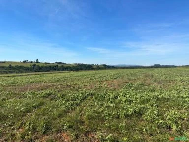 Fazenda com 90 hectares para Agricultura, região de Sorocaba