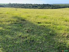 Sítio para Agricultura em Avaré, área com 15 alqueires