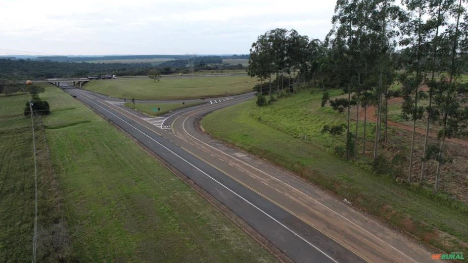 Sítio com frente para Castelo Branco, 13 alqueires de área plana