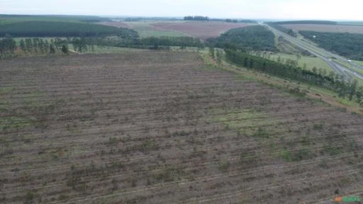 Sítio com frente para Castelo Branco, 13 alqueires de área plana