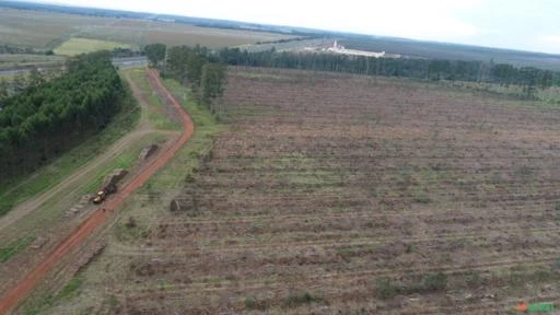 Sítio com frente para Castelo Branco, 13 alqueires de área plana