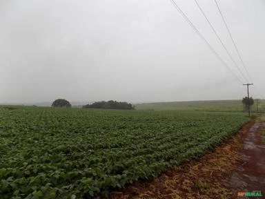 Fazenda na região  Avaré, área com 992 hectares para agricultura, margem com 8 km de represa.