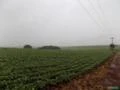 Fazenda na região  Avaré, área com 992 hectares para agricultura, margem com 8 km de represa.