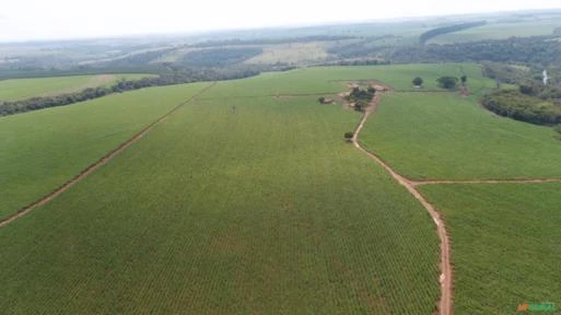 Fazenda em Avaré SP