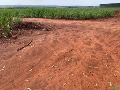 Fazenda em Avaré SP