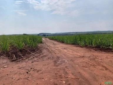 Fazenda em Avaré SP