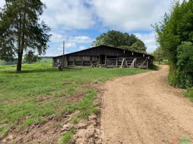 Fazenda em Avaré SP