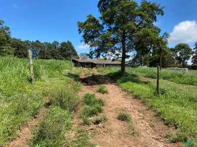 Fazenda em Avaré SP