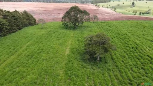 Fazenda em Avaré SP