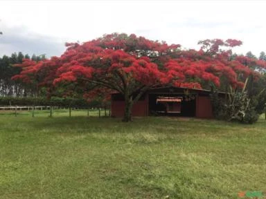 Haras em Botucatu – SP