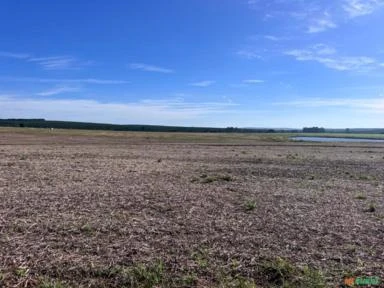 Fazenda em Avaré SP