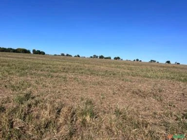 Fazenda em Avaré SP