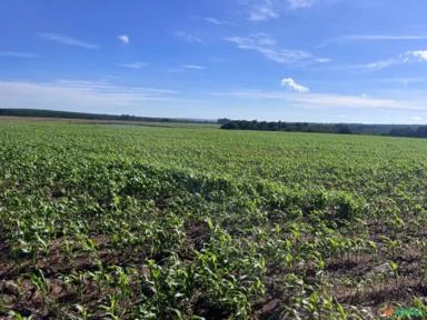 Fazenda em Avaré SP