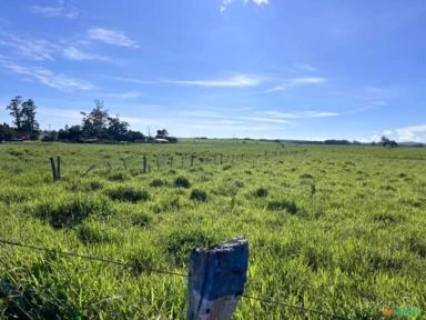 Fazenda em Avaré SP