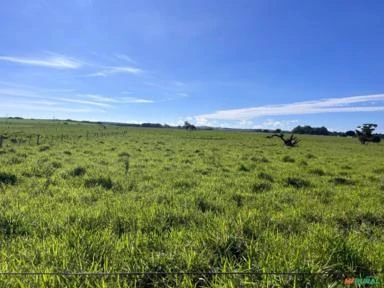 Fazenda em Avaré SP