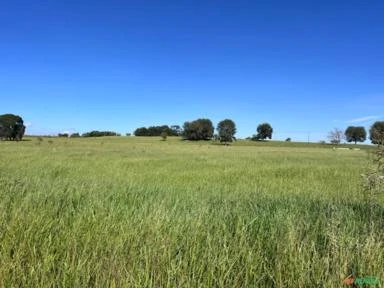 Fazenda em Avaré SP