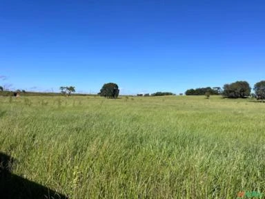 Fazenda em Avaré SP