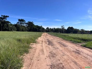 Fazenda em Avaré SP