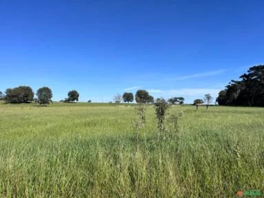 Fazenda em Avaré SP