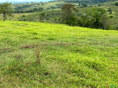 Fazenda em Conchas SP