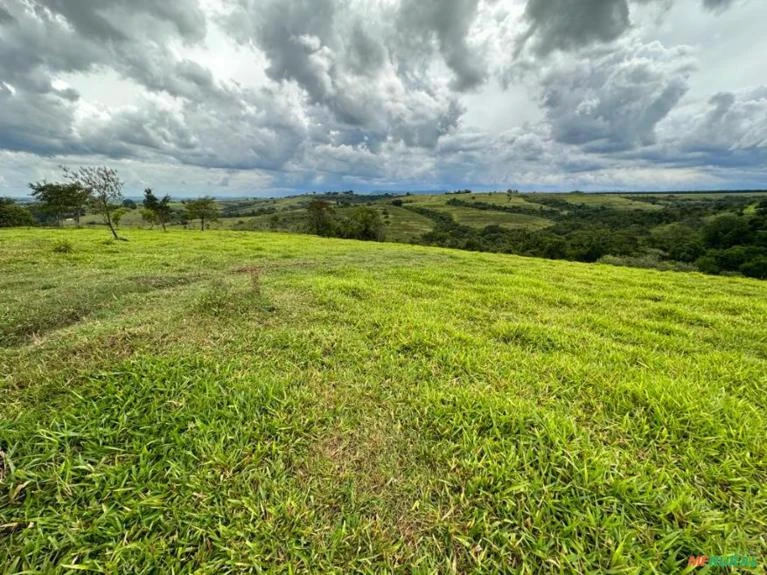 Fazenda em Conchas SP