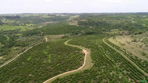 Fazenda em Pratânia SP