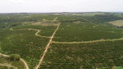 Fazenda em Pratânia SP